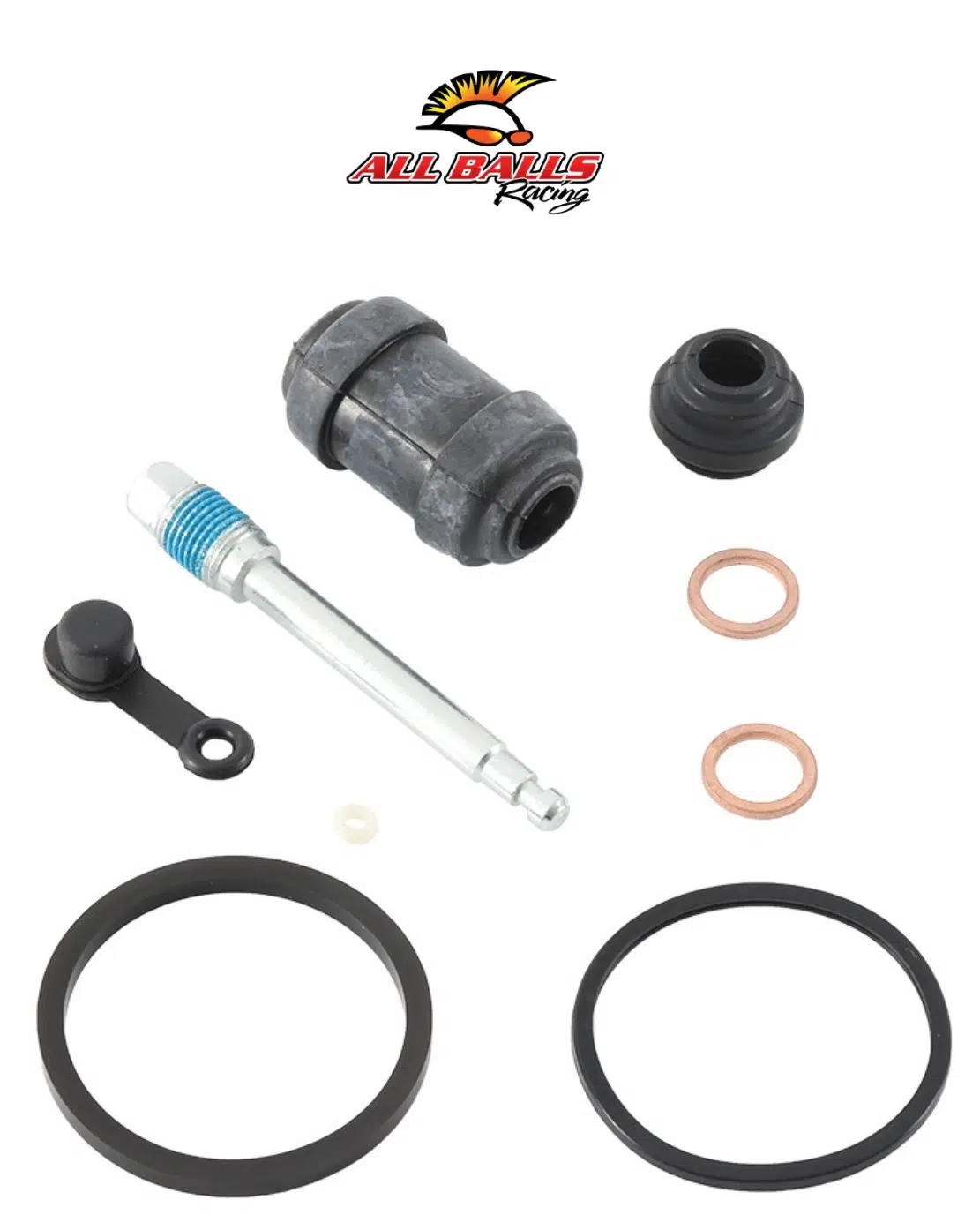 ABR FREN KALİPER YENİLEME KİTİ KAWASAKI Z 900cc ARKA 2017-2024