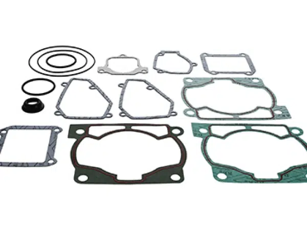 BETA 300 RR 13-21 PROX SİLİNDİR TAKIM CONTA