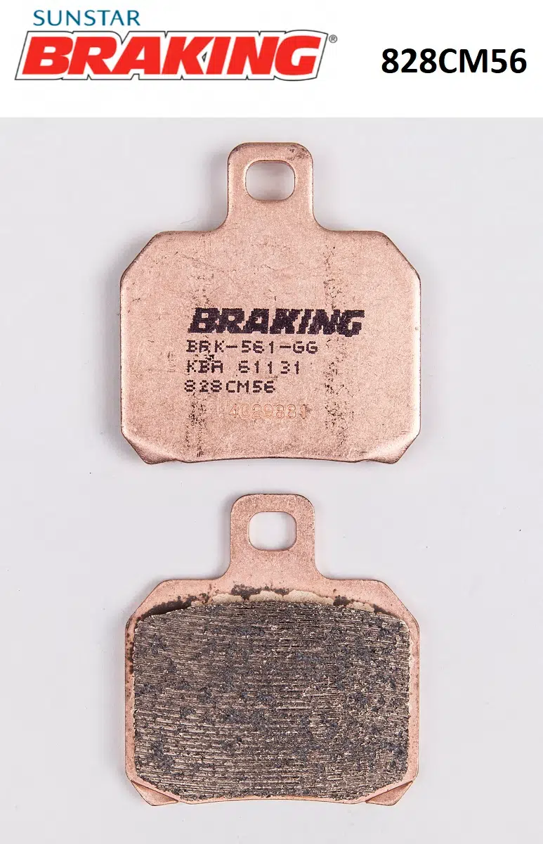 SİNTERLİ ARKA FREN BALATASI TRIUMPH SPEED TRIPLE RS 1200cc 2022